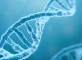 《自然》：促癌基因突变为什么有器官特异性？
