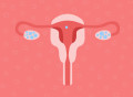 胚胎移植后，1-14天它在子宫会有这些变化，事关着床成功