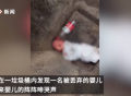 高温下婴儿被扔垃圾桶啼哭不止，徐州星晨妇儿谈危害有多大？