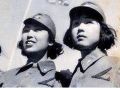 1945年，获得二战胜利的美国，是如何处置日本战俘的？