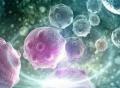 MIT、哈佛《科学》重磅研究：纳米颗粒治疗癌症，我们前进了一大步！