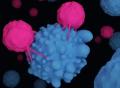 《自然》：CAR-T细胞抗癌疗法迎来革命性突破！