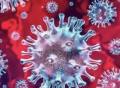 中疾控警告新冠病毒变异长期存在，如何进行有效监测？