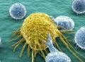 癌细胞又搞特殊，结果却可能帮科学家省事了