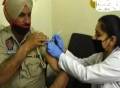 印度开发新型狂犬病疫苗：只需打3针