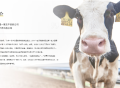 招股书里的认养一头牛：纯牛奶一度全靠“贴牌”，营销费用高