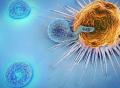 可恶，T细胞竟然叛变！《科学》“曝光”抗癌能手如何变成肿瘤同谋