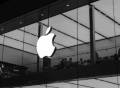 苹果不会为增加收入收购公司，库克称不排除收购大公司