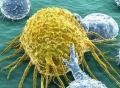 《自然》首次发现：有些细胞表面挺正经，实则已经叛变拿了癌变的基因！