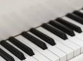 学钢琴能买电子琴在家练吗？关于钢琴和电子琴的区别，你想知道的都在这里！