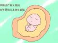 孕19周流产是母体的原因，还是胚胎的原因？