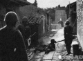 1945年，伪军骑兵连驻扎村庄，八路军夜袭，结果如何？