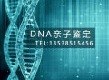 东莞DNA亲子鉴定结果有多准确？