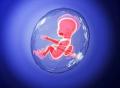 好不容易怀孕却早产！这3项检验指标是宫内感染重要预警信号