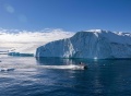 最新研究：格陵兰岛冰层融化或使全球海平面上升78厘米