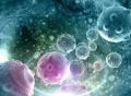 让病毒帮忙消灭肿瘤！联合免疫细胞可高效击杀癌细胞