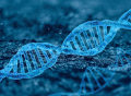 基因诊断，只是“配方”而非“蓝图”？