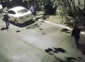 巴西情侣车内正浪漫，却遭3个偷车贼突袭，赤着身被赶出了车