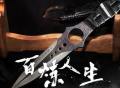 【CSGO非遗纪录片】用龙泉宝剑的锻造技艺打造CSGO两把刀