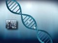 《刺客信条》15周年：Animus新一轮基因序列解锁