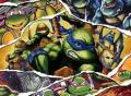 汇聚了 13 款游戏的《忍者神龟》合集，它值得买吗？丨篝火