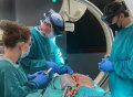 Novarad 宣布与美国神经外科和脊柱分销合作伙伴网络建立