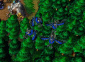 魔兽争霸3：暗夜精灵的空中霸主，除了防空，还能帮助奇美拉挡枪