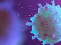 《细胞·代谢》：浙大团队破解葡萄糖促进肿瘤免疫逃逸之迷！