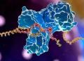 寡核苷酸研发热情高涨，纳米药物递送技术引领新一轮浪潮