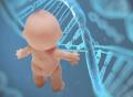 郑州DNA胎儿亲子鉴定需要多少钱？有哪些手续？