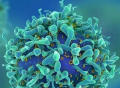 “抗癌利器”疗效再提升！宾大研究团队开发的免疫疗法CAR-T再获突破