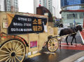 为了抗议《赛马娘》运营，韩国玩家真的拉来了一匹马游街