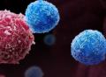 速递｜CAR-T细胞疗法新突破：迅速消除严重副作用，还能克服肿瘤耐药性