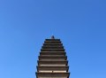 野王故城：秦赵“长平之战”的桥头堡，刘秀光复汉室的战略中枢