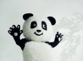 CLOT 大熊猫吉祥物“凝凝”发起舞蹈挑战 响应国际熊猫日