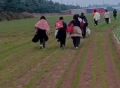 郑州富士康员工家属：丈夫徒步10多小时到家，沿途群众赠送食物和水