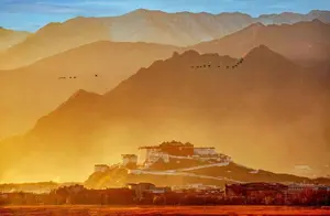 等疫情过去了 我们谁也别再说人间不值得了，西藏这些风景依旧不负阳光！