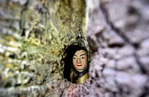 我国唯一一棵“树抱佛”，树洞内藏有佛像，形成原因至今无人能解