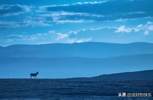 可可西里：中国最伟大的荒野