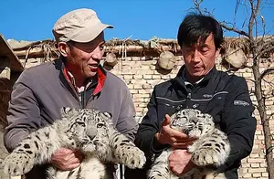2008年新疆男子捡两“小猫崽”，越喂越不对劲，专家看后发现端倪