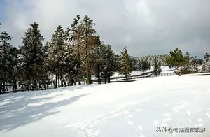 重庆仙女山的冬季——北国风光，推荐几个拍雪景的地方