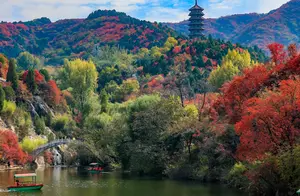 年年迷倒大批秋叶控，济南这些“赏红叶”宝藏地，藏着最绚烂的秋景！