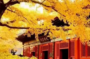 北京，老舍笔下的“人间天堂”，北平之秋太惊艳