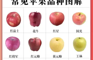 常吃常见的苹果、梨、桃、西瓜、甜瓜和葡萄的品种