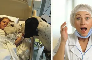 奇迹！当这只巨型犬走到小孩病床前时，让人看见了难以置信的一幕