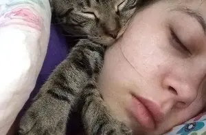 和猫咪一起睡觉竟有这6点“隐患”，你还敢跟猫睡吗？