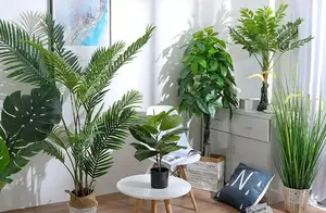 6种“漂亮植物”，放客厅，美观大方，空气清新