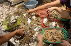 开海后，别只会吃大虾和螃蟹，这几种海鲜好吃还不贵，建议了解