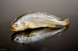 浙江人爱吃的大黄鱼和小黄鱼，到底有何区别？