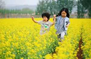北京市文化和旅游局发布“京郊之夏”十条精品农事体验旅游线路：自然教育之旅·走进有机生态乡居